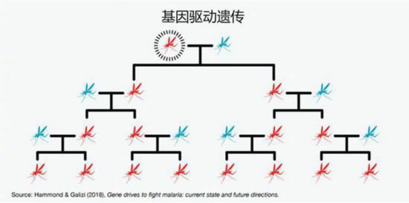 比原链：AI+基因编辑，为何成为比尔·盖茨口中的救命良方？-区块链315