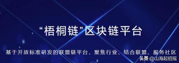 安网3：“智慧城市”专题（3）：区块链在中国智慧城市中的应用案例-区块链315