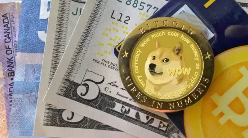 DOGE币的流动性怎么样？狗狗币的全球接受度如何？