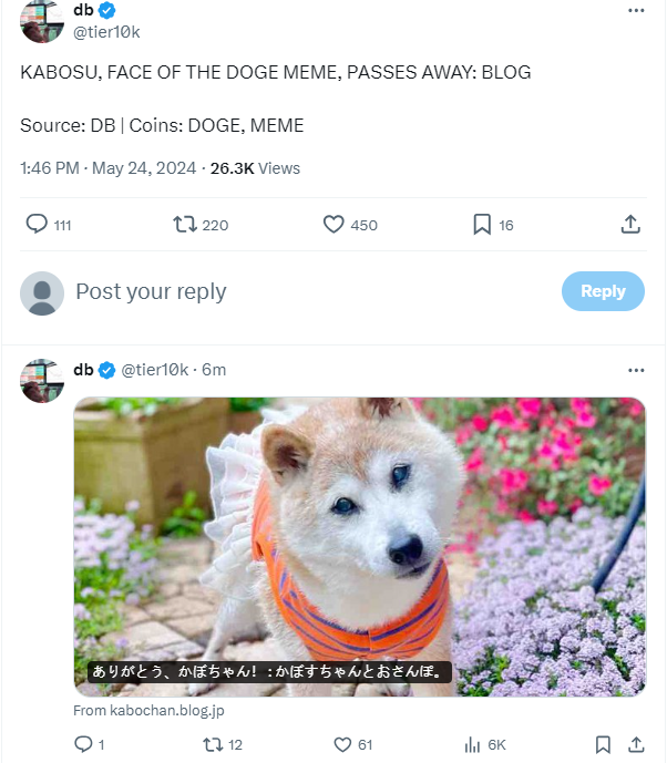 DOGE原型KABOSU去世
