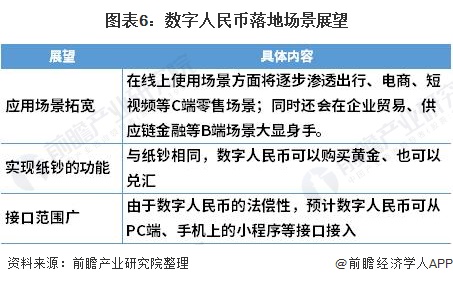 图表6:数字人民币落地场景展望