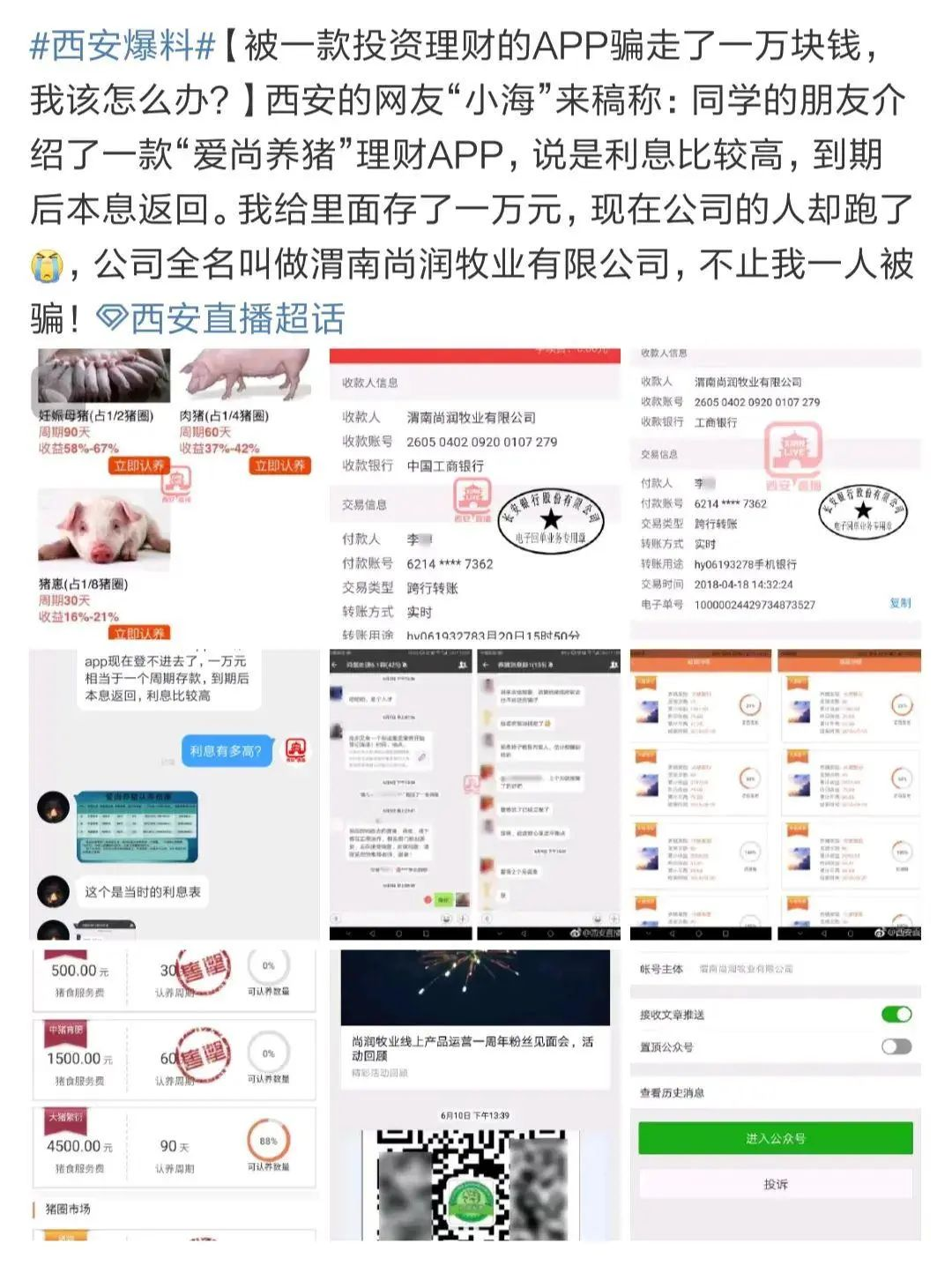 养鳄鱼不够，现在又开始“云养牛”了？插图(6)